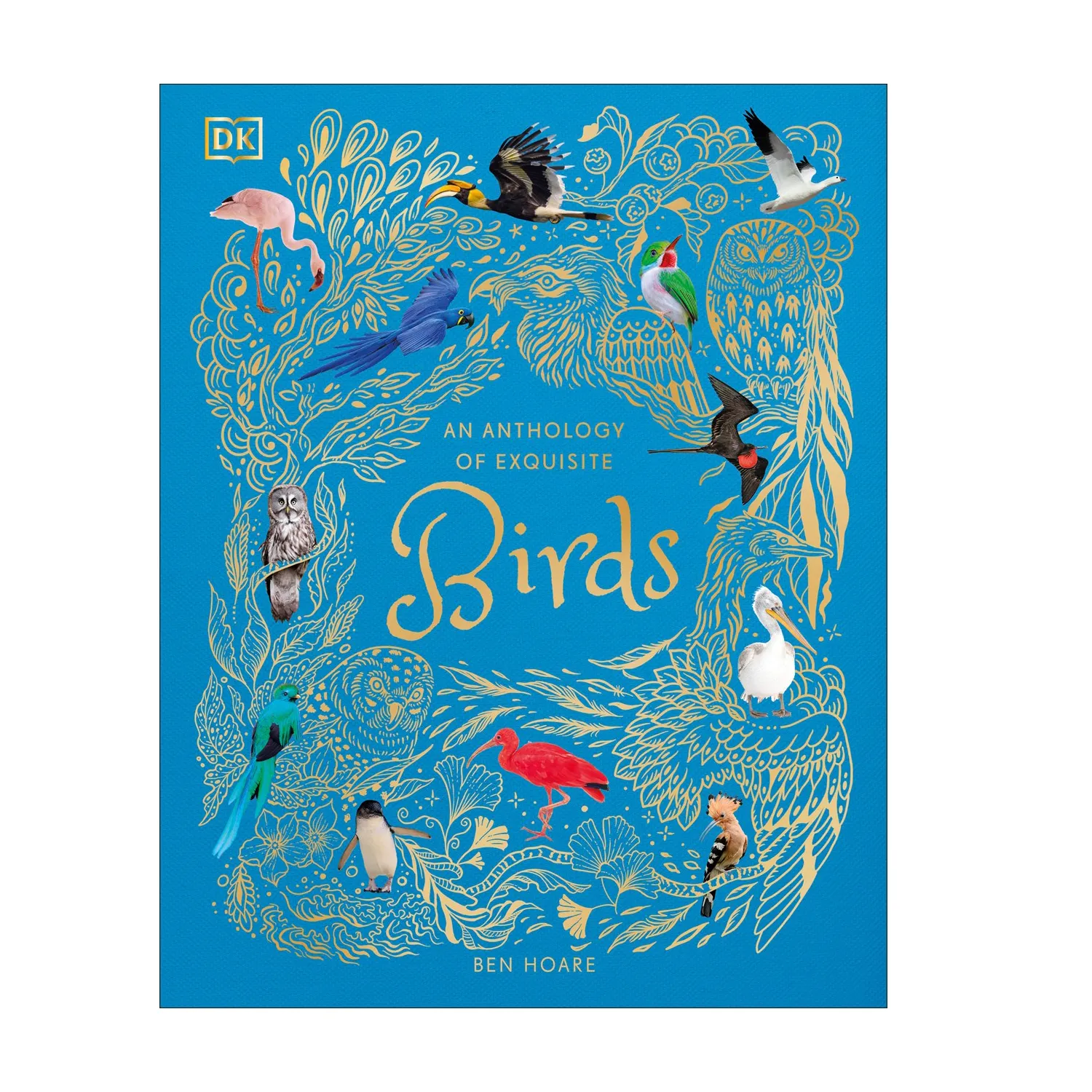 An Anthology Of Exquisite Birds