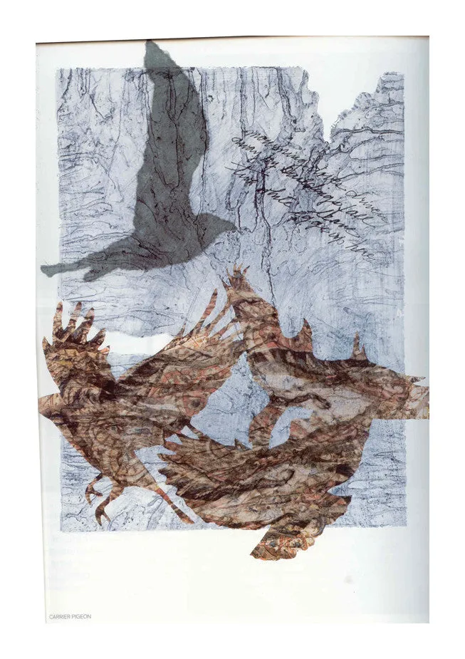 Carrier Pigeon Volume 3 Issue 1