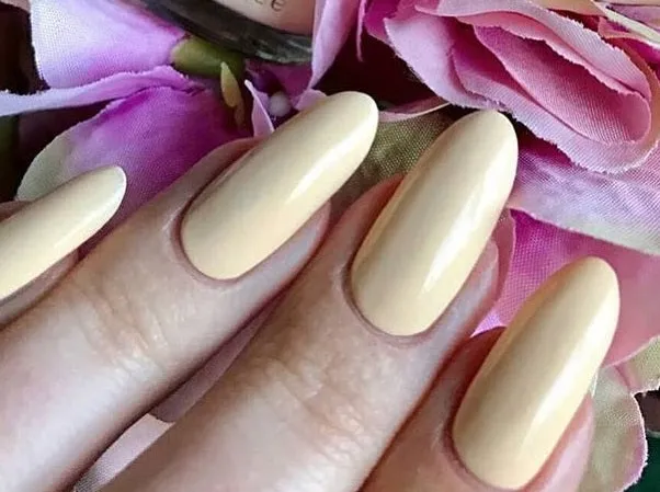 Exquisite * CND Shellac